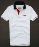 Polo Hollister