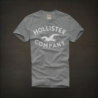 Camiseta Hollister