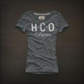 Camiseta Hollister