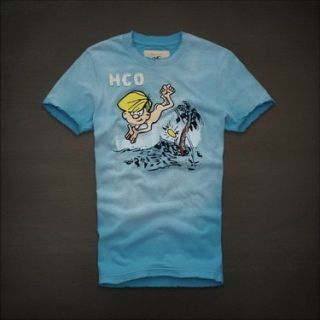 Camiseta Hollister