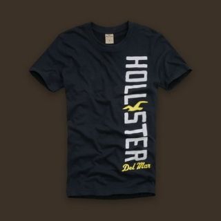 Camiseta Hollister