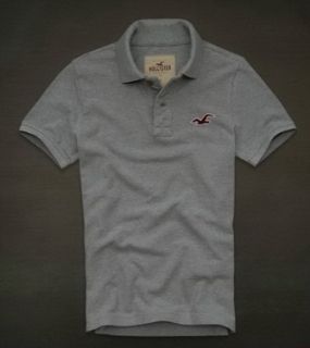 Polo Hollister