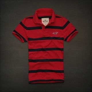 Polo Hollister