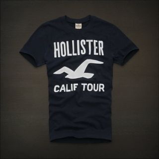 Camiseta Hollister