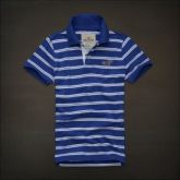 Polo Hollister