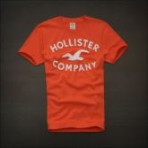 Camiseta Hollister