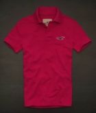 Polo Hollister