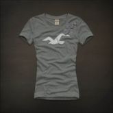 Camiseta Hollister