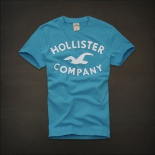 Camiseta Hollister