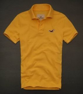 Polo Hollister