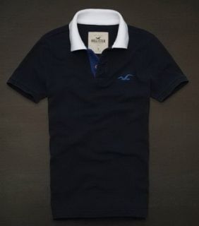 Polo Hollister