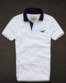 Polo Hollister