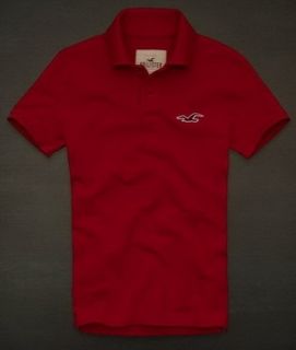 Polo Hollister