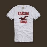 Camiseta Hollister