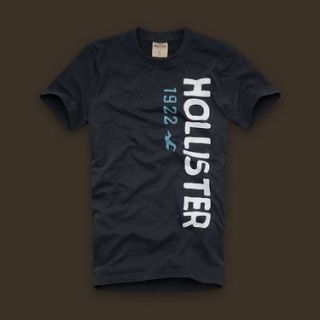 Camiseta Hollister