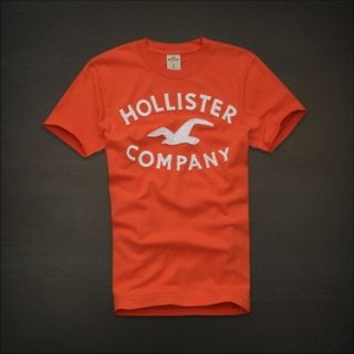 Camiseta Hollister