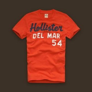 Camiseta Hollister