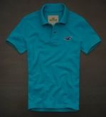 Polo Hollister