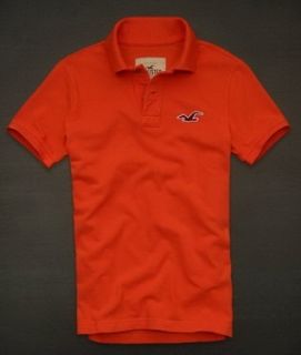 Polo Hollister