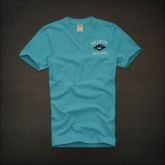 Camiseta Hollister