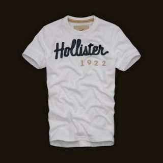 Camiseta Hollister