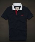 Polo Hollister