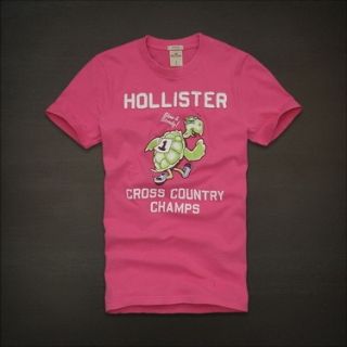 Camiseta Hollister